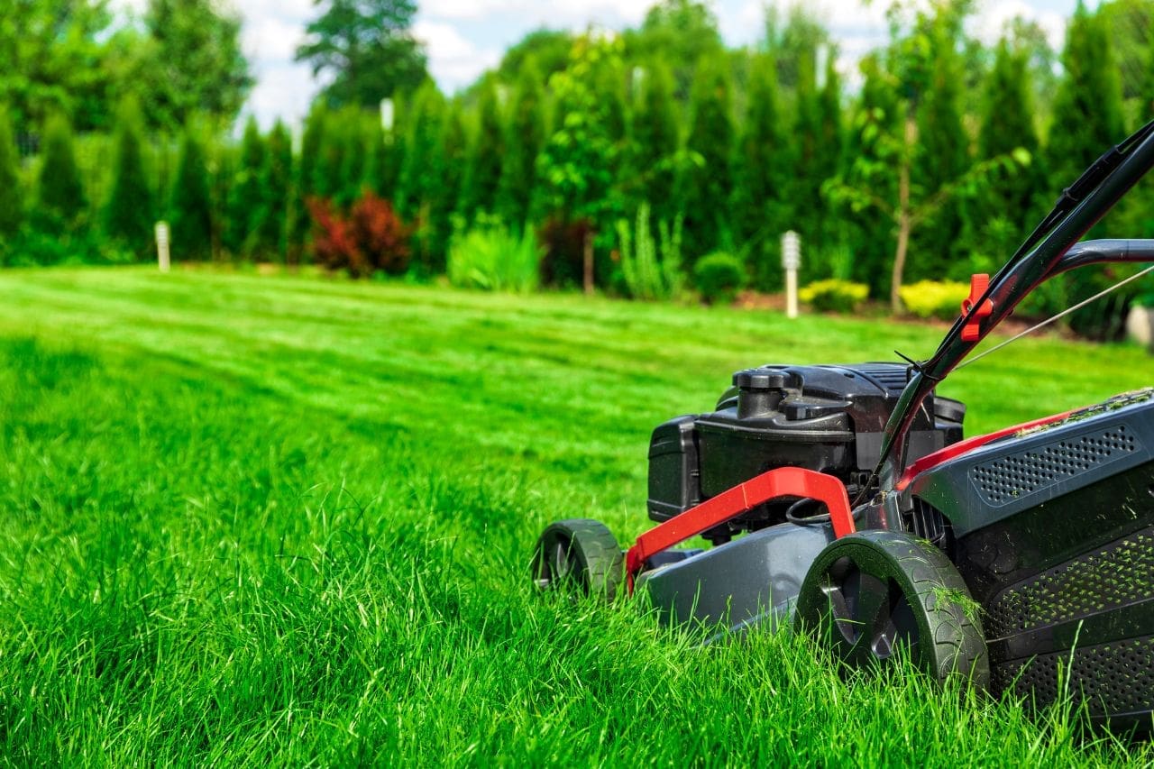 How to Fix My South Dakota Lawn