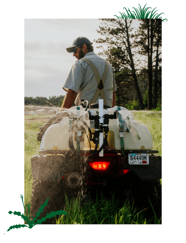 Warne Green Force employee providing Noxious Weed Control Service