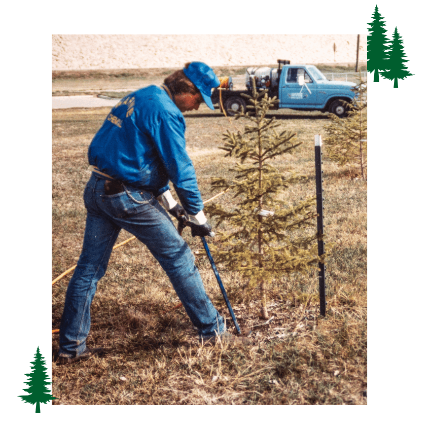 Warne Green Force employee providing tree and shrub care maintenance for trees