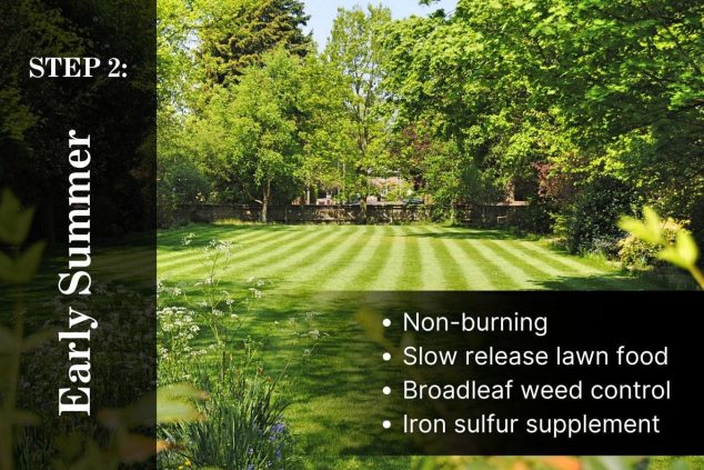5 Step Lawn Care Program Step 2