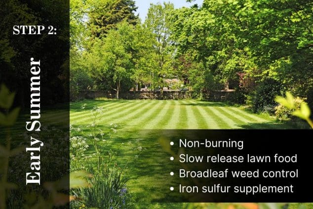 5 Step Lawn Care Program Step 2