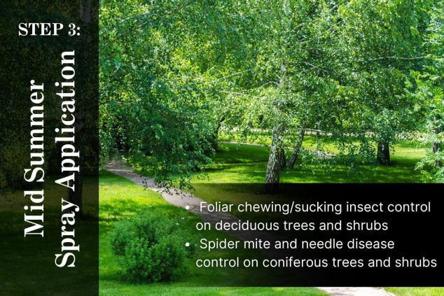 Tree and Shrub Care Program Step 3