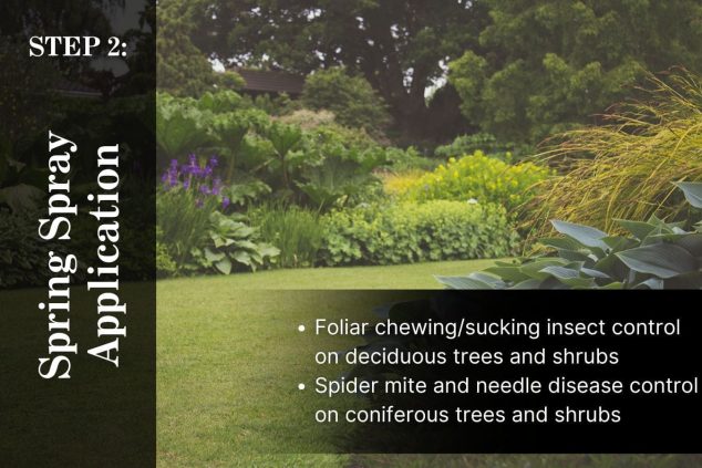 Tree and Shrub Care Program Step 2