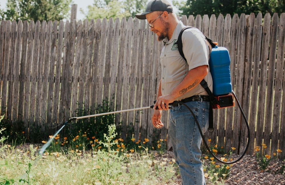 Warne Green Force employee spraying for weeds durin bare ground service