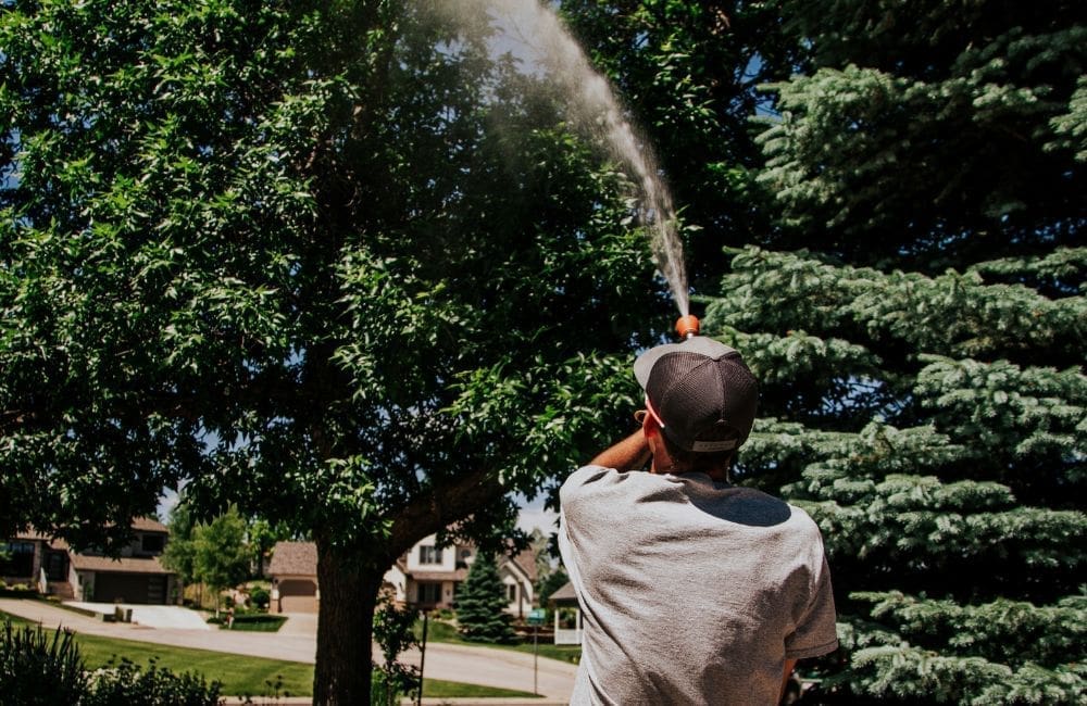 Warne Green Force employee spraying tree during tree care service