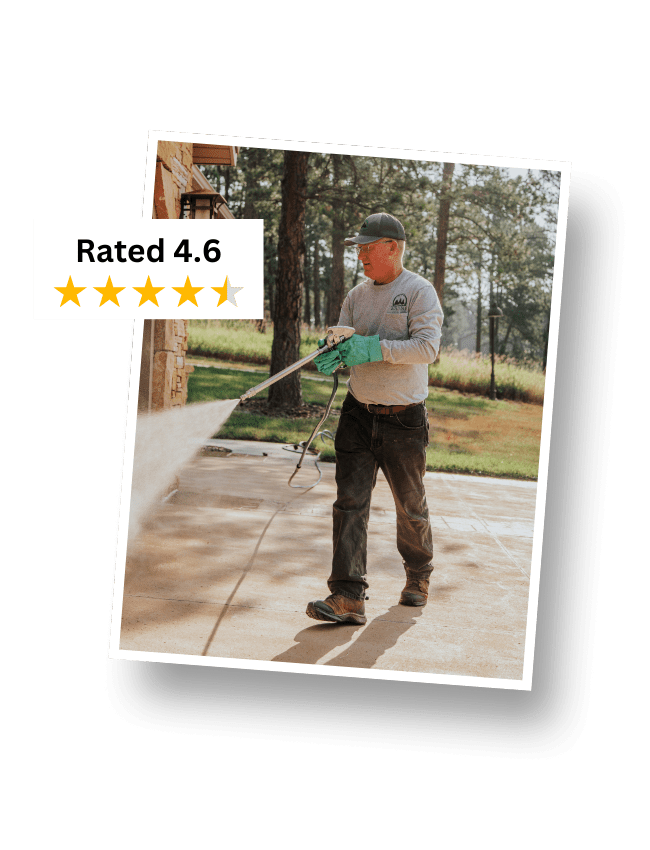 Warne review rating at 4.6 out of 5 stars