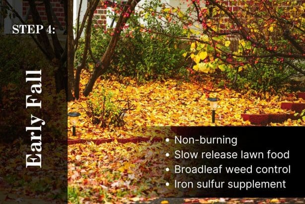 5 Step Lawn Care Program Step 4